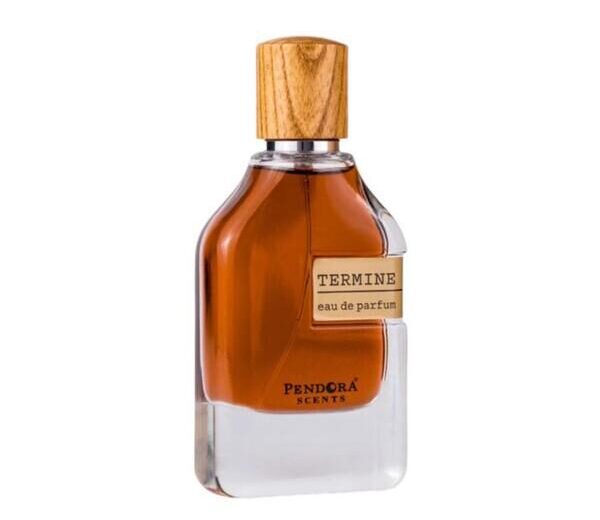 TERMINE111